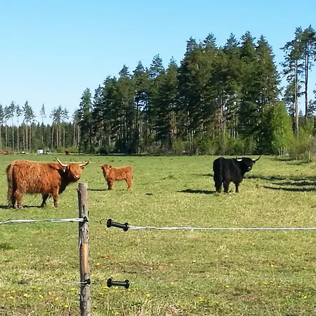 Ferienhaus Tervajarvi *